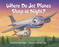 Où les avions à réaction dorment-ils la nuit ? - Where Do Jet Planes Sleep at Night?