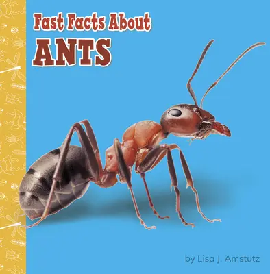 Les fourmis en un clin d'œil - Fast Facts about Ants