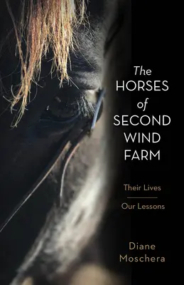 Les chevaux de Second Wind Farm : Leur vie - Nos leçons - The Horses of Second Wind Farm: Their Lives - Our Lessons