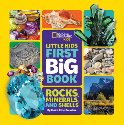 Le premier grand livre des enfants sur les roches, les minéraux et les coquillages - Little Kids First Big Book of Rocks, Minerals & Shells