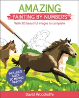 Peinture étonnante par chiffres - avec 30 belles images à compléter. Comprend un guide pour mélanger les peintures - Amazing Painting by Numbers - With 30 Beautiful Images to Complete. Includes Guide to Mixing Paints