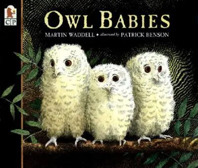 Les bébés hiboux - Owl Babies