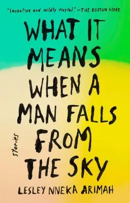 Ce que signifie la chute d'un homme du ciel : histoires - What It Means When a Man Falls from the Sky: Stories