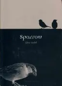 Moineau - Sparrow