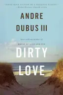 L'amour sale - Dirty Love