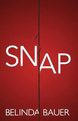 L'instantanéité - Snap