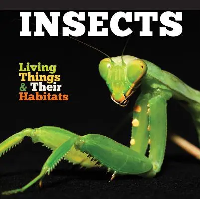 Insectes - Insects