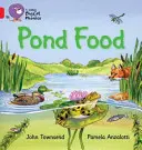 Pond Food - Band 02b/Red B