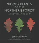 Plantes ligneuses de la forêt septentrionale : Guide photographique - Woody Plants of the Northern Forest: A Photographic Guide