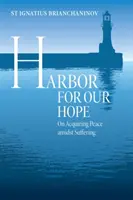 Harbor for Our Hope : On Acquiring Peace Amidst Suffering (Un port pour notre espoir : acquérir la paix au milieu de la souffrance) - Harbor for Our Hope: On Acquiring Peace Amidst Suffering