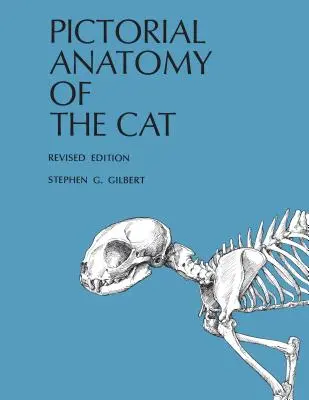 Anatomie picturale du chat - Pictorial Anatomy of the Cat