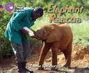 Sauvetage des éléphants - Elephant Rescue