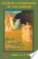 Champignons sacrés : Secrets d'Eleusis - Sacred Mushrooms: Secrets of Eleusis