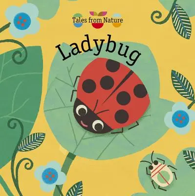 Coccinelle - Ladybug