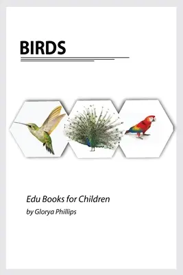 Oiseaux : Livre Montessori sur les vrais oiseaux, morceaux d'intelligence pour les bébés et les jeunes enfants, livre pour enfants, ressources d'apprentissage. - Birds: Montessori real birds book, bits of intelligence for baby and toddler, children's book, learning resources.