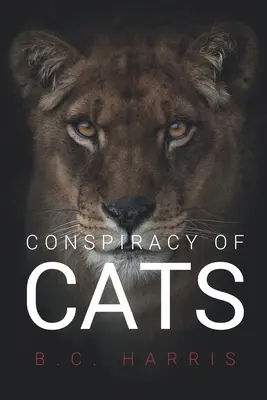 La conspiration des chats - Conspiracy of Cats