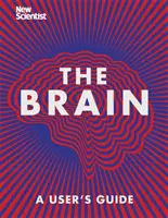 Le cerveau - Tout ce qu'il faut savoir - Brain - Everything You Need to Know