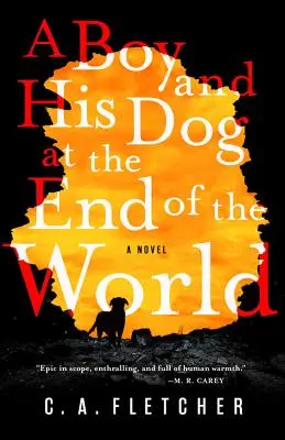 Un garçon et son chien à la fin du monde - A Boy and His Dog at the End of the World