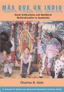 Ms Que Un Indio (Plus qu'un Indien) : Ambivalence raciale et multiculturalisme néolibéral au Guatemala - Ms Que Un Indio (More Than an Indian): Racial Ambivalence and Neoliberal Multiculturalism in Guatemala