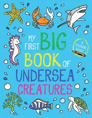 Mon premier grand livre des créatures sous-marines - My First Big Book of Undersea Creatures