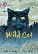 Chat sauvage - Wild Cat