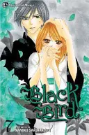 L'oiseau noir, volume 7 - Black Bird, Volume 7