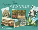 Salutations de Savannah - Greetings from Savannah