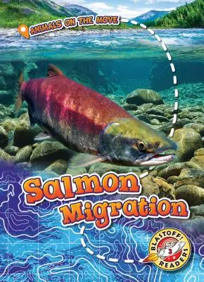 Migration des saumons - Salmon Migration