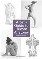 Guide de l'anatomie humaine à l'usage des artistes - Artist's Guide to Human Anatomy