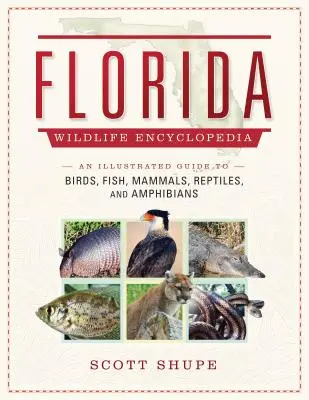 Encyclopédie de la faune et de la flore de Floride : Un guide illustré des oiseaux, des poissons, des mammifères, des reptiles et des amphibiens - Florida Wildlife Encyclopedia: An Illustrated Guide to Birds, Fish, Mammals, Reptiles, and Amphibians