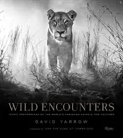 Wild Encounters : Photographies emblématiques d'animaux et de cultures en voie de disparition dans le monde - Wild Encounters: Iconic Photographs of the World's Vanishing Animals and Cultures