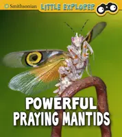 De puissantes mantes religieuses - Powerful Praying Mantises