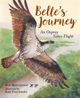 Le voyage de Belle : Un balbuzard prend son envol - Belle's Journey: An Osprey Takes Flight