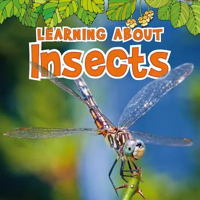 Apprendre à connaître les insectes - Learning about Insects