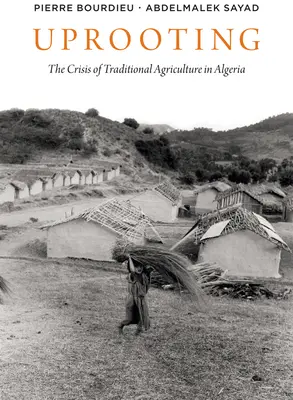 Le déracinement : La crise de l'agriculture traditionnelle en Algérie - Uprooting: The Crisis of Traditional Algriculture in Algeria