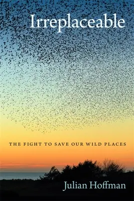 Irreplaceable : La lutte pour la sauvegarde de nos espaces sauvages - Irreplaceable: The Fight to Save Our Wild Places