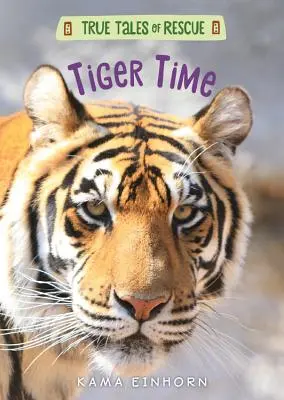 Le temps des tigres - Tiger Time