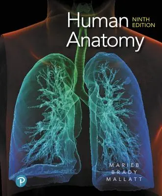 Anatomie humaine - Human Anatomy