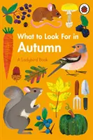 Que faire en automne ? - What to Look For in Autumn