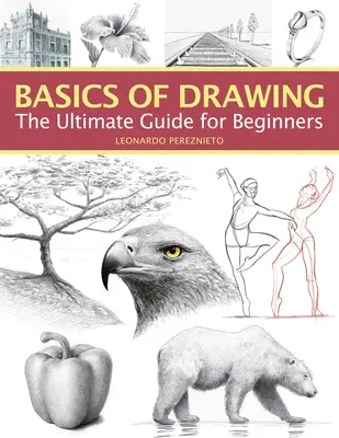 Les bases du dessin : Le guide ultime pour les débutants - Basics of Drawing: The Ultimate Guide for Beginners