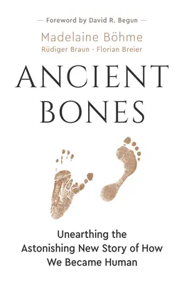 Ancient Bones : Unearthing the Astonishing New Story of How We Became Human (en anglais) - Ancient Bones: Unearthing the Astonishing New Story of How We Became Human