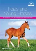 Poulains et jeunes chevaux : Entraînement et gestion pour un cheval bien élevé - Foals and Young Horses: Training and Management for a Well-Behaved Horse