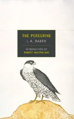 Le Pèlerin - The Peregrine