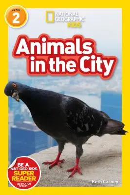 National Geographic Readers : Animaux en ville (L2) - National Geographic Readers: Animals in the City (L2)