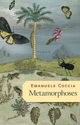 Les métamorphoses - Metamorphoses