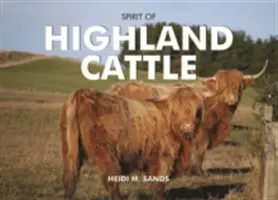 L'esprit du bétail des Highlands - Spirit of Highland Cattle