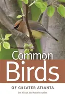 Les oiseaux communs du Grand Atlanta - Common Birds of Greater Atlanta