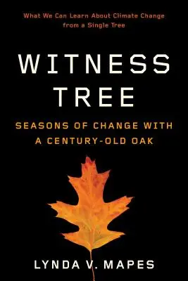 L'arbre témoin : Les saisons du changement avec un chêne centenaire - Witness Tree: Seasons of Change with a Century-Old Oak