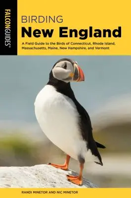 Birding New England : Un guide de terrain pour les oiseaux du Connecticut, du Rhode Island, du Massachusetts, du Maine, du New Hampshire et du Vermont - Birding New England: A Field Guide to the Birds of Connecticut, Rhode Island, Massachusetts, Maine, New Hampshire, and Vermont