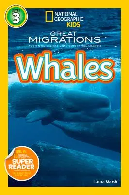 Les baleines - Whales